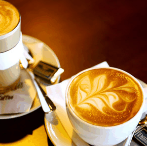 Burleigh Heads Hotel - Accommodation Cooktown 3