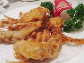 Peacock Gardens - Accommodation Cooktown 0