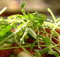 Wild Hearts Cafe Restaurant - Accommodation Cooktown