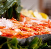 Food Fantasy - Accommodation Cooktown