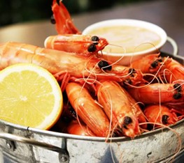 Full Moon Hotel - Moonlight Dining - Accommodation Cooktown 0