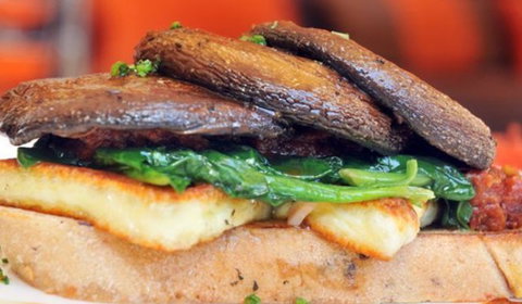 Sirocco Noosa - Accommodation Cooktown 2