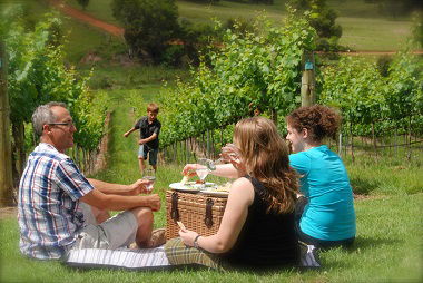 Oceanview Estate Winery / Restaurant - Accommodation Cooktown 7