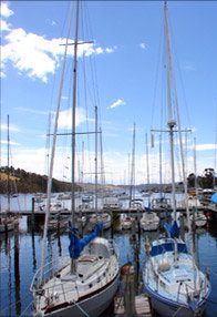  Accommodation Cooktown