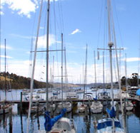 Oyster Cove Inn - Accommodation Cooktown