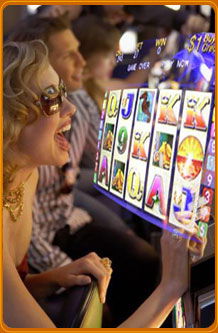 Rose Shamrock Hotel - Accommodation Cooktown 2