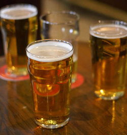 Wattle Grove Club Hotel - Accommodation Cooktown 3