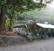 Ellis Beach Bar  Grill - Accommodation Cooktown
