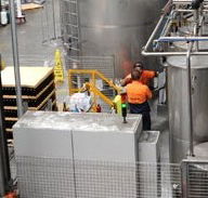 Little Creatures - Accommodation Cooktown