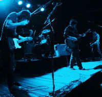 Fly By Night Musicians Club - Accommodation Cooktown