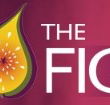 Pickled Fig - Accommodation Cooktown