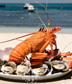 Quokka Arms - Accommodation Cooktown 1