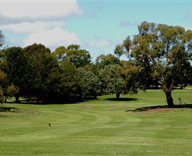Cooma Golf Club - Accommodation Cooktown 1