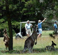 Glen Innes Golf Club - Accommodation Cooktown