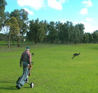Coffin Bay Golf Club - Accommodation Cooktown