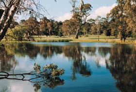 Echunga Golf Club Incorporated - Accommodation Cooktown 1