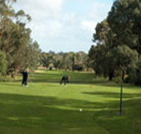 Mount Gambier Golf Club - Accommodation Cooktown