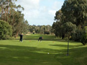 Mount Gambier Golf Club - Accommodation Cooktown 0