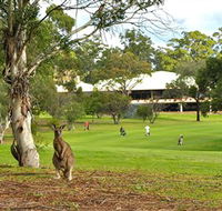 Pambula Merimbula Golf Club - Accommodation Cooktown