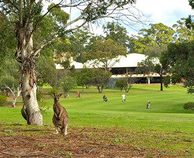 Pambula Merimbula Golf Club - Accommodation Cooktown 0