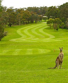 Pambula Merimbula Golf Club - Accommodation Cooktown 2