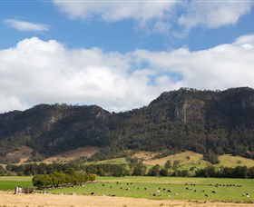 Baxters Ridge NSW Accommodation Cooktown