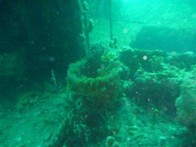 Wallaroo Scuba Club - Accommodation Cooktown 0