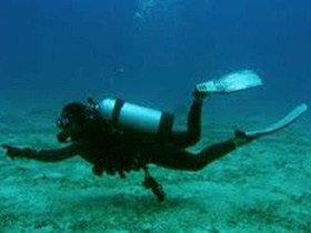 Wallaroo Scuba Club - Accommodation Cooktown 1