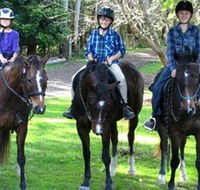 Kings Creek Saddle Club - Accommodation Cooktown