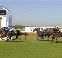 Kembla Grange Racecourse - Illawarra Turf Club - Accommodation Cooktown