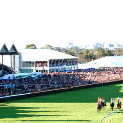 Morphettville SA Accommodation Cooktown