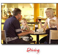 Steelers Club - Accommodation Cooktown