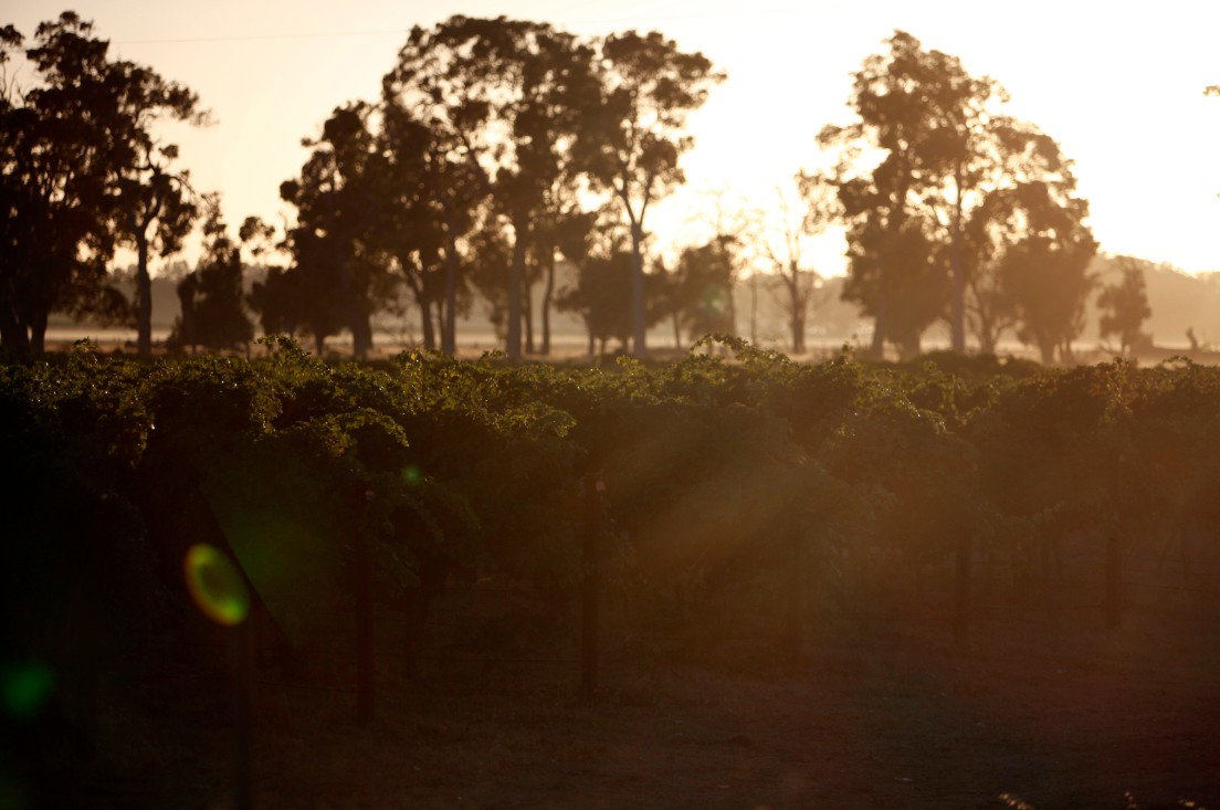 Wilyabrup WA Accommodation Cooktown