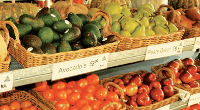 Supply Jervis Bay - thumb 2