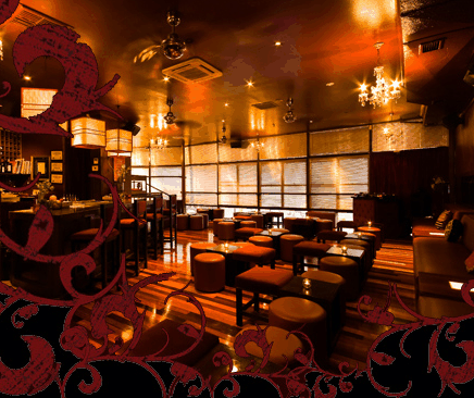 Hippo Lounge Bar - Accommodation Cooktown
