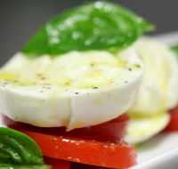 Verde - Accommodation Cooktown