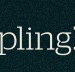 Dumpling Republic - Accommodation Cooktown