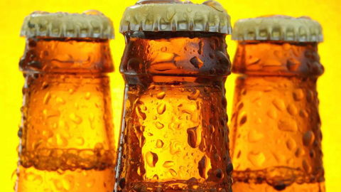 Toucan Hotel Group - Accommodation Cooktown 2