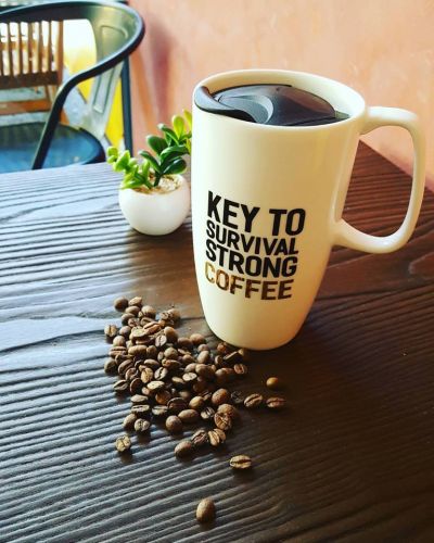 Gobblegutz Espresso Bar & Gourmet Food Store - Accommodation Cooktown 2