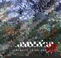 Antica Australis - Winter Fire Festival