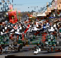 Australian Celtic Festival - Accommodation Cooktown