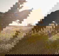 Balonne Cutting Horse Futurity - Accommodation Cooktown