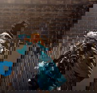 Baroque Horse Festival - Accommodation Cooktown