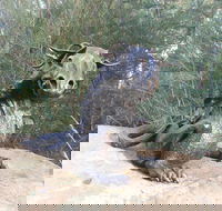 Bathurst Arts Trail - Accommodation Cooktown