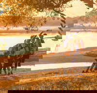 Brisbane Coastrek 2020 - Accommodation Cooktown