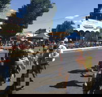 Bunny Bazaar - Accommodation Cooktown