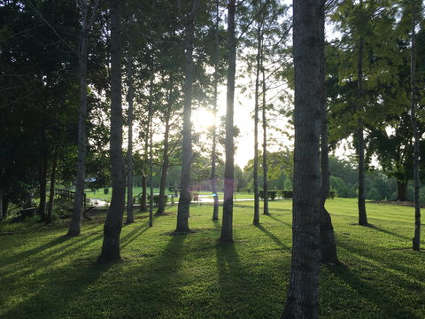 Celebration Outing Special - Accommodation Cooktown 0