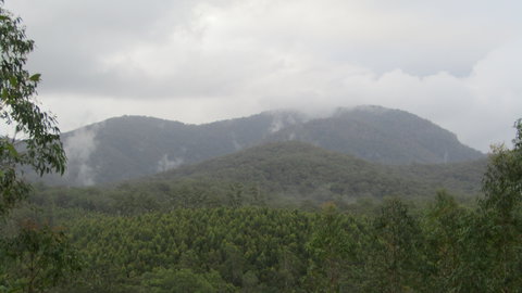 Elephant Trail Race - Accommodation Cooktown 2