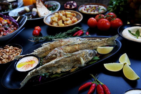 Zahli Modern Middle Eastern Restaurant - Accommodation Cooktown 13