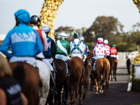 Golden Eagle Day - Accommodation Cooktown 1